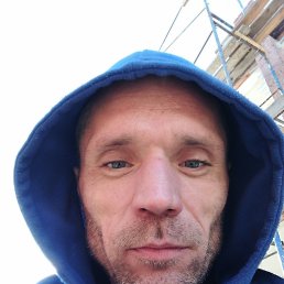 ������, 41 ���, ���������