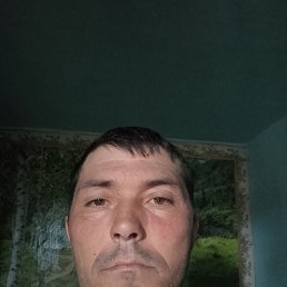 �������, 38 ���, ���������