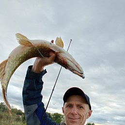 , 49, 
