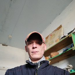 , 37, 