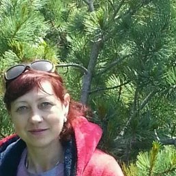 , 61, 