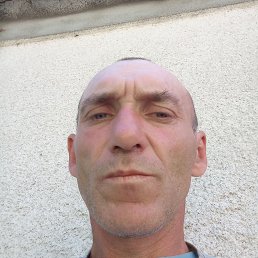 , 41, 