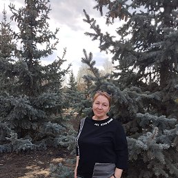 , 62, 