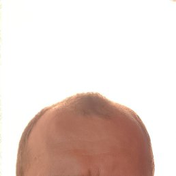 , 37, 