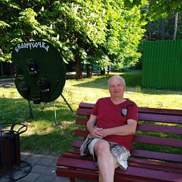 , 65, -