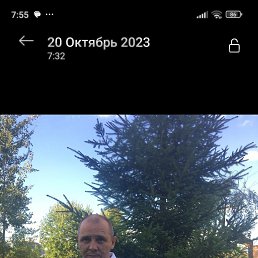 ���� ������, ������, 52 ���� - ��������� 28 ����� 2026