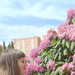 , 39, 