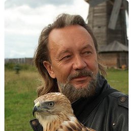 ���� ����, �����, 45 ��� - ��������� 31 ������ 2026