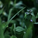 ���� �����, ������, 31 ��� - ��������� 28 ��� 2024 � ������ ���� ����������