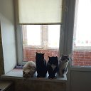 ���� Tanyushka Kat'ko, ������, 47 ��� - ��������� 23 ������ 2026