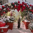 ���� ���, ���� - ��������� 19 ������ 2026 � ������ ���� ����������