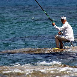 ������, ������, 62 ����