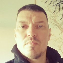 Survivol, �������, 51 ���