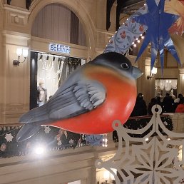 �����, ������, 49 ���