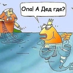 ���� �������, �����-���������, 52 ���� - ��������� 22 ������� 2026