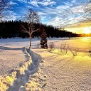 ���� ����, ������� - ��������� 29 ������� 2023 � ������ ������ ��������