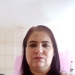 , 44 , 