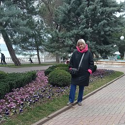  , --, 53  -  13  2025