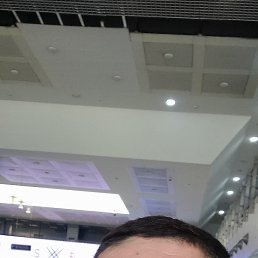 , 37, -