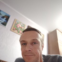 , 43 , 