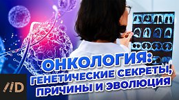���������: ������������ �������, ������� � ��������