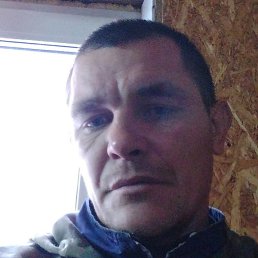 ���������, �������, 43 ����