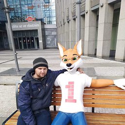 , 33, 