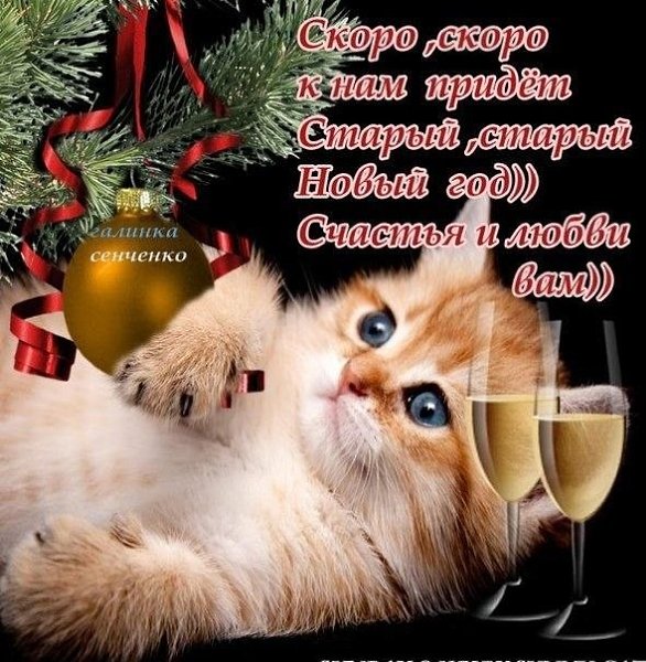 Zv   !!! V - 13  2025  11:03 - 2