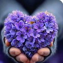 ���� �������, ������ - ��������� 26 ������ 2026 � ������ ������ ��������