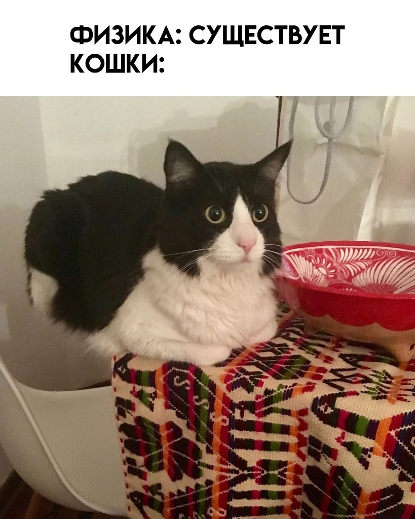      - 7