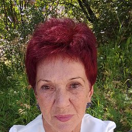 , 59, 