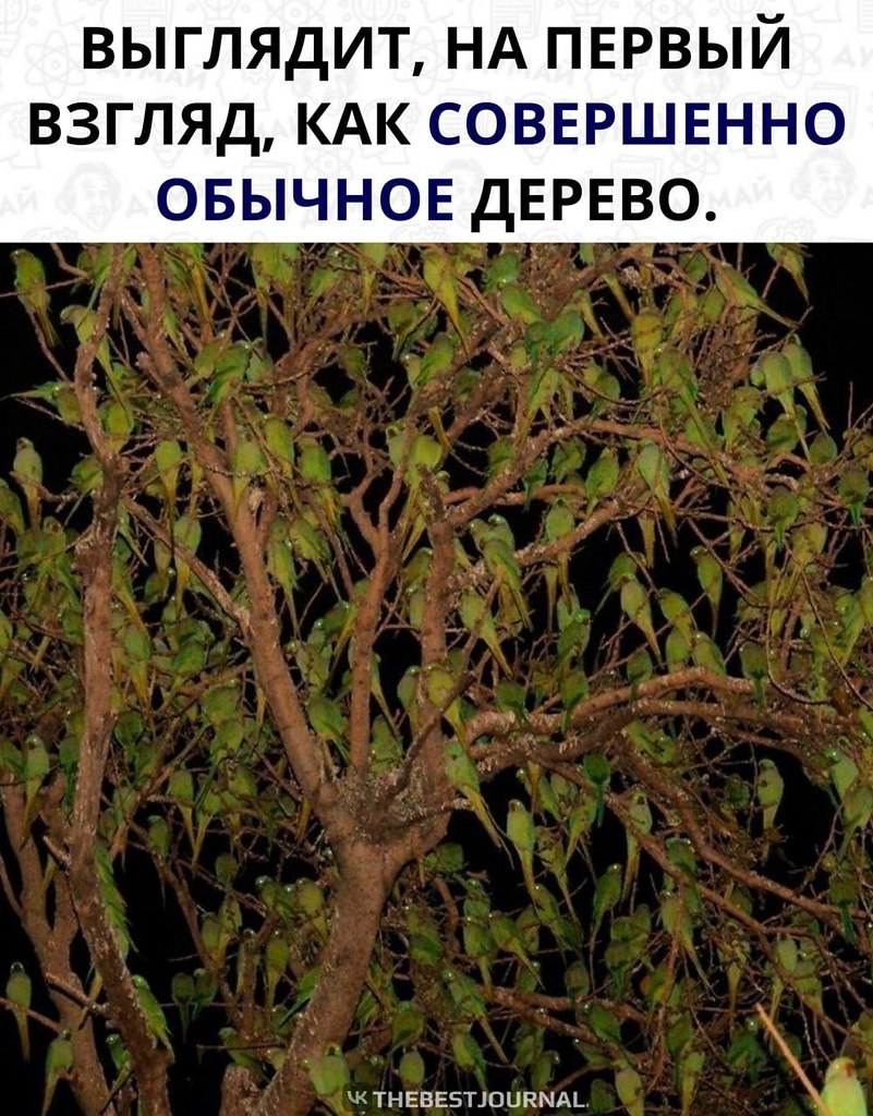      ,     ...