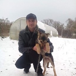 ������, 53 ����, ����������