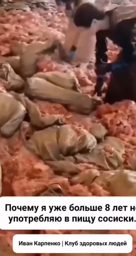 �y�� ��o �pa��a? � �o�o� �� ��o e���?