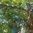 ���� ��������, �����������, 49 ��� - ��������� 21 ������ 2026 � ������ ���� ����������