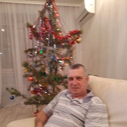 , 65 , 