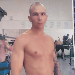 ���� ����, ������, 41 ��� - ��������� 5 ������ 2024