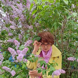 ����, �����������, 64 ����