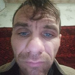 , , 40 
