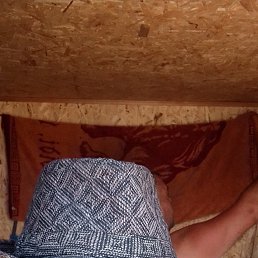 ���� �������, �������, 48 ��� - ��������� 8 ������ 2024