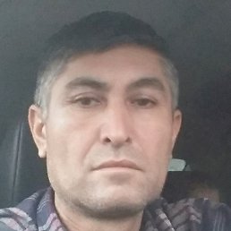 ����, ������, 49 ���