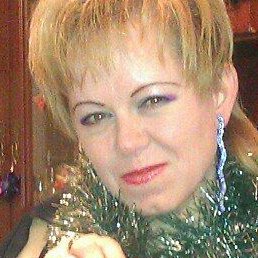 �����, ����, 49 ���