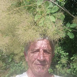 , 60 , 