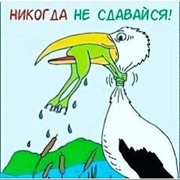 ���� ���, ���������-��-�����, 36 ��� - ��������� 1 ��� 2026