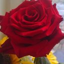  , -, 52  -  20  2025    