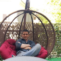 , 41, 
