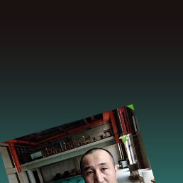 , 41, 