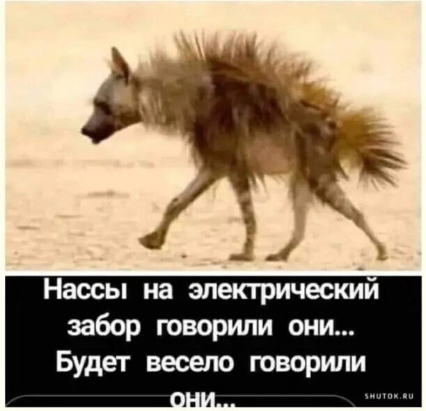 ***Victoria Viktorovna*** - 17  2024  06:52