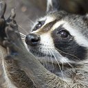 ���� �������, �����-��������� - ��������� 12 ������ 2025 � ������ ������ ��������