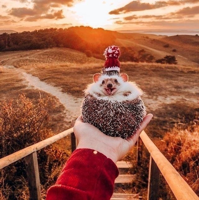 � ������ ������ ������� ����� �������� ����� ����...